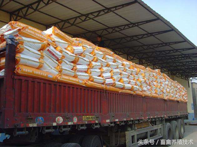 预混料和浓缩饲料有什么区别,预混料和浓缩饲料配比