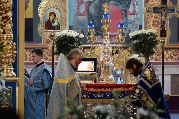 回忆的迷迭香,盛开的迷迭香