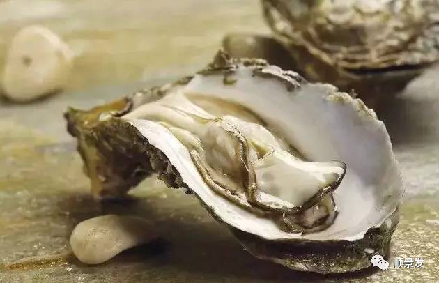 贝类海鲜的品种及图片大全,常见的贝类海鲜图片大全及名称