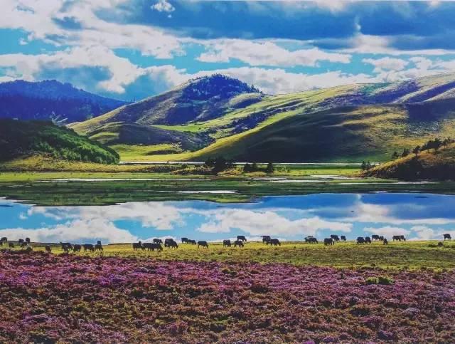 云南隔壁的一个苗族县城,来云南一定要去感受一下民族风情