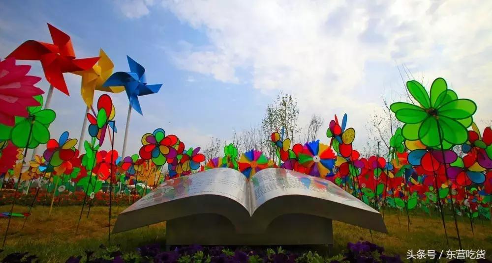 东营五一假期好去处,五一东营去哪里玩比较好