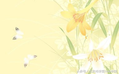 上海尚学堂java入门,尚学堂讲java