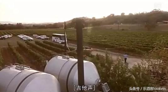 大师班葡萄酒,葡萄酒大师班