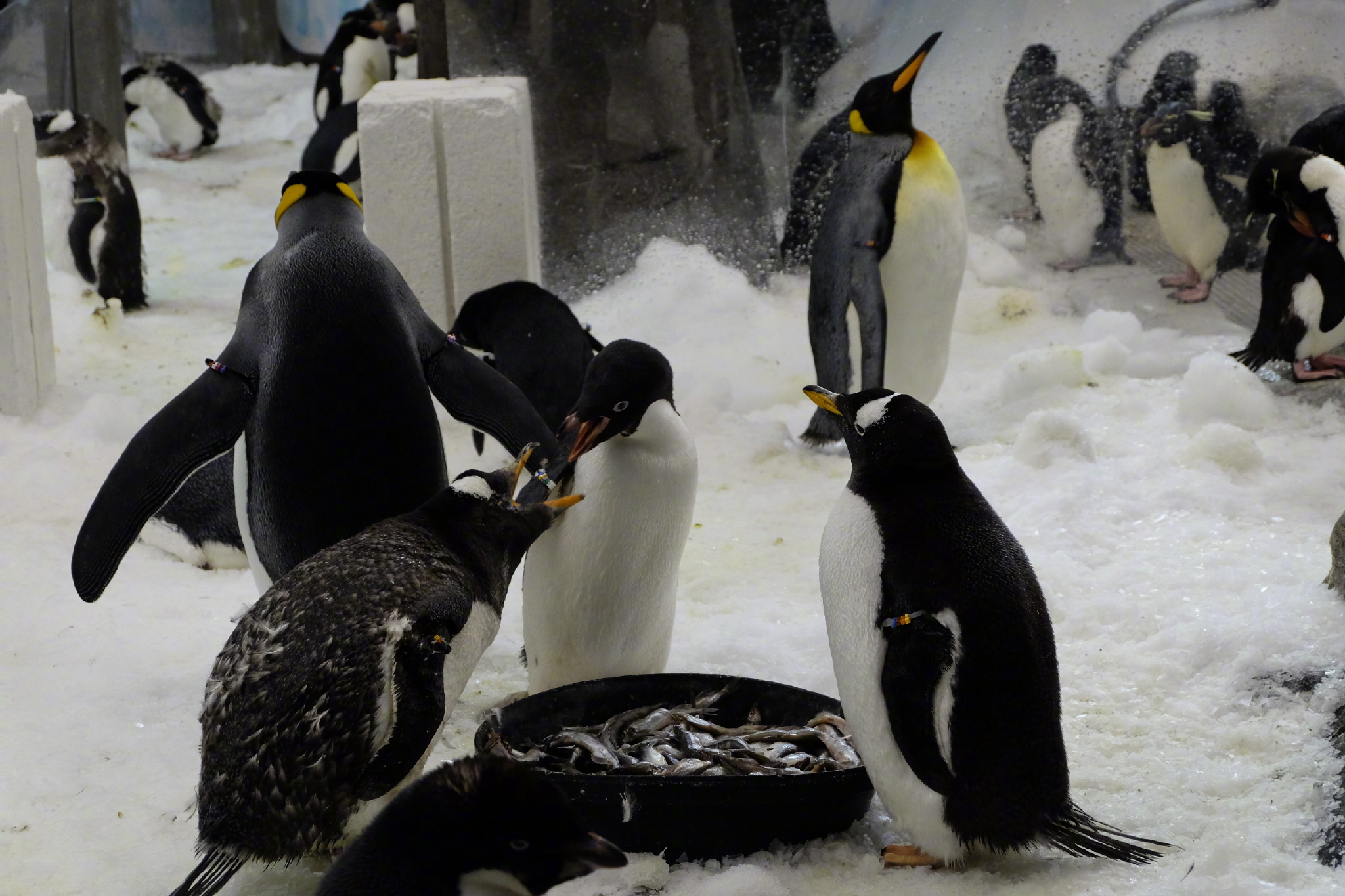 佛罗里达七日游攻略,佛罗里达5天旅游