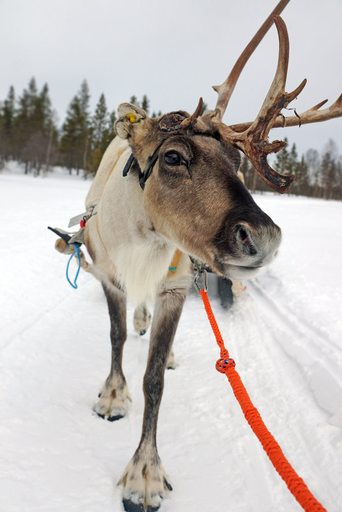 芬兰的奇幻之旅,芬兰旅游攻略