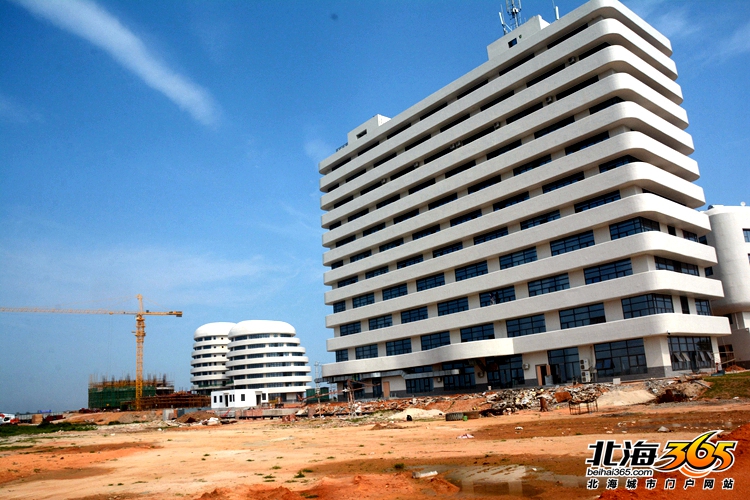 这条8米长的“大咸鱼”，上次北海错过之后等了16年