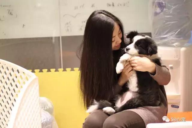 这家公司在办公室里养了十几只宠物员工幸福指数真高