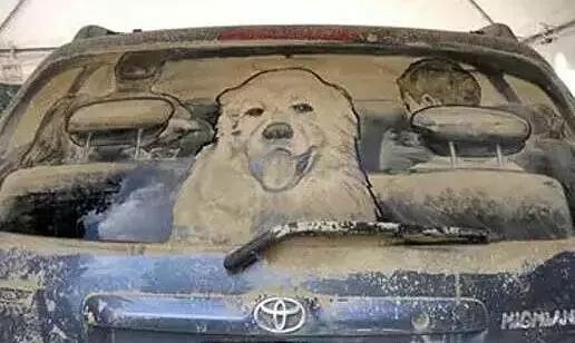 车脏了怎么办，告诉你一个省钱的办法