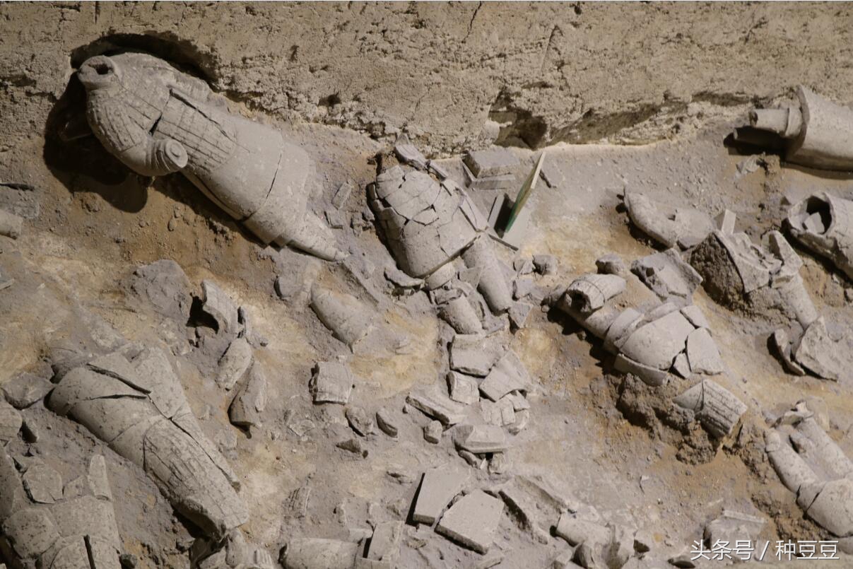 西安秦始皇兵马俑门票多少钱,西安秦始皇兵马俑的门票价格