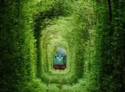 口腔医院渠道运营体系,口腔医院线上经营模式