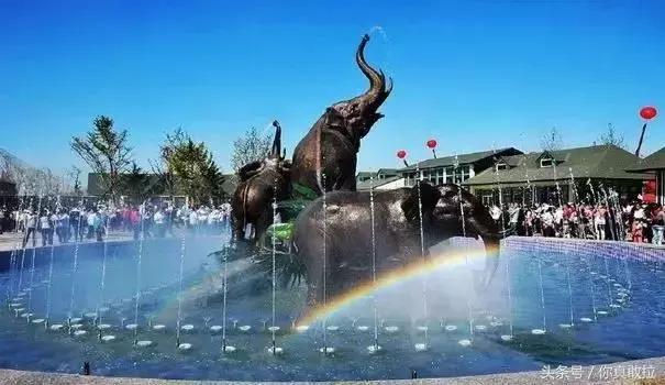 临沂三区九县改成什么了,临沂市三区九县名称