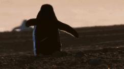 假期一定要带孩子看的5部纪录片,孩子必看的10部自然纪录片