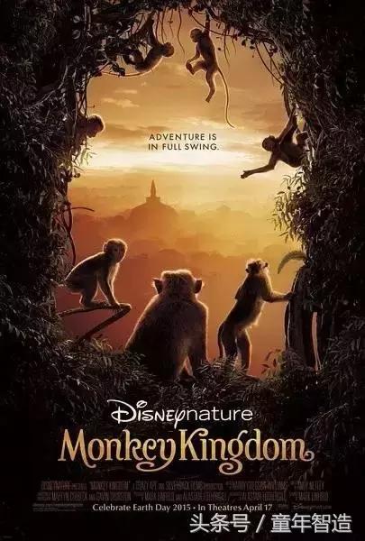 假期一定要带孩子看的5部纪录片,孩子必看的10部自然纪录片