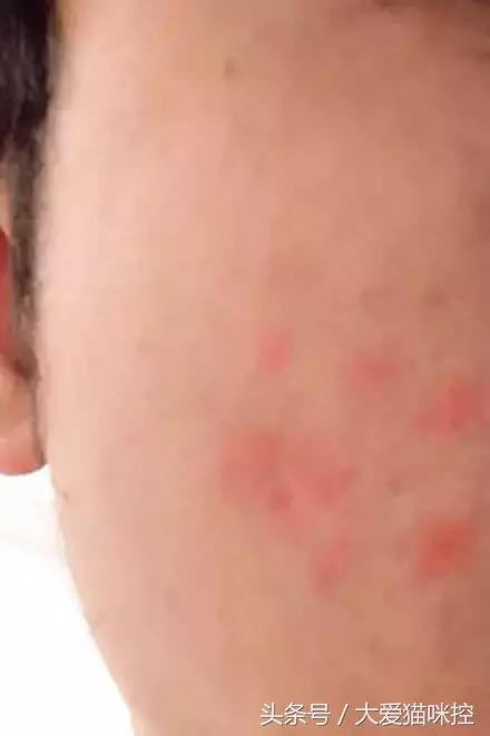 主人起床后发现脸上全是印泥,调查后发现,凶手是它