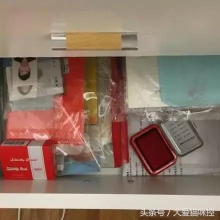 主人起床后发现脸上全是印泥,调查后发现,凶手是它