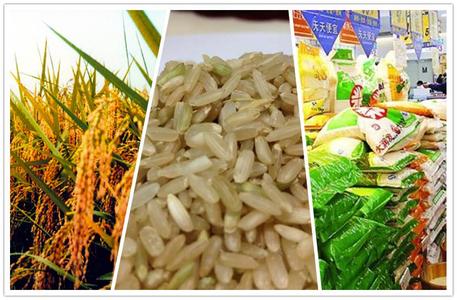 月入8000辞职去摆摊,做农业创业小伙发誓三年赚一个亿