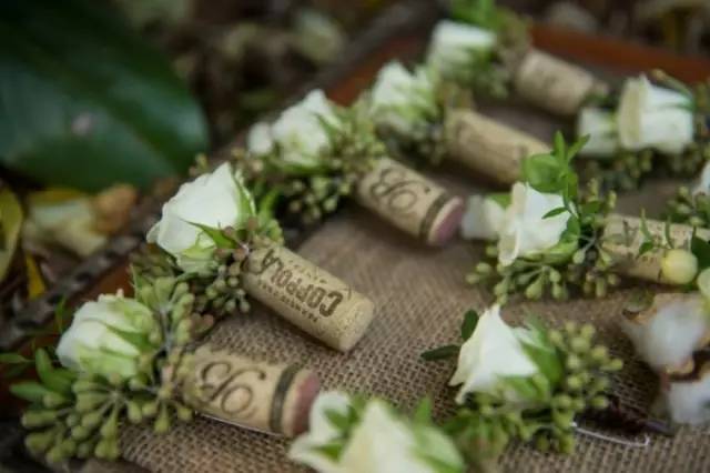 被丢弃的红酒塞遇上了植物,才迎来自己的春天