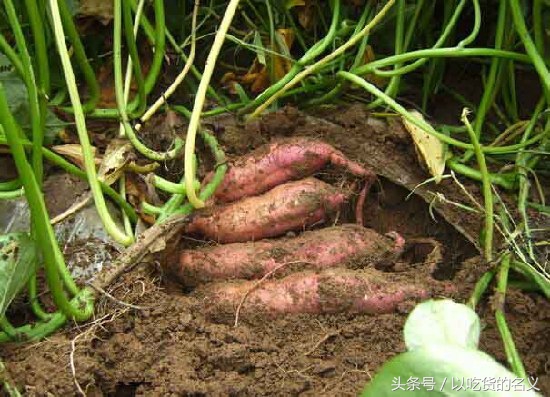 80后的我们重拾旧时光图片,80后怀念时光的图片