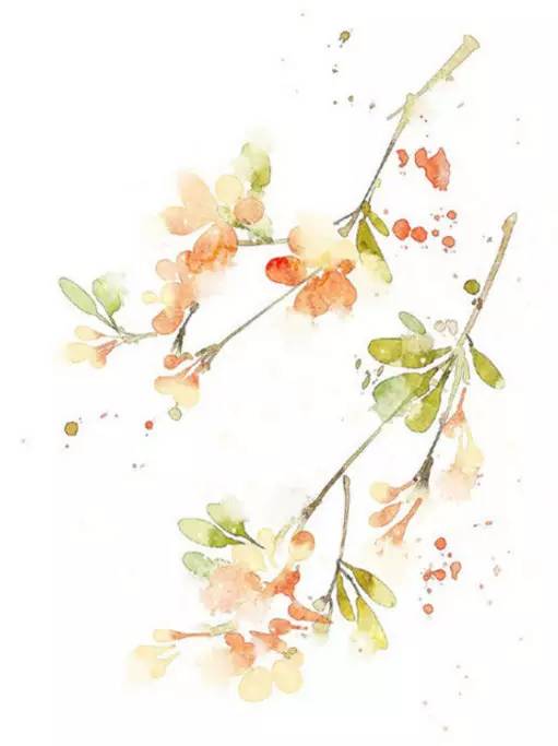 巴金散文鸟的天堂诵读,巴金短篇散文经典鸟的天堂