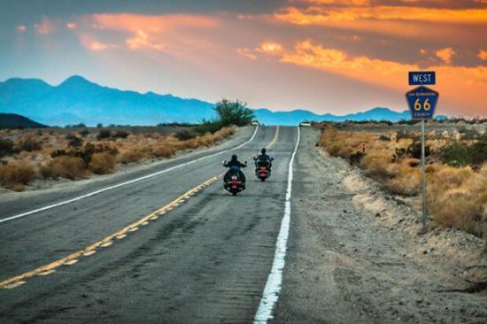 大学生慢就业现象调查,高校毕业生就业困境