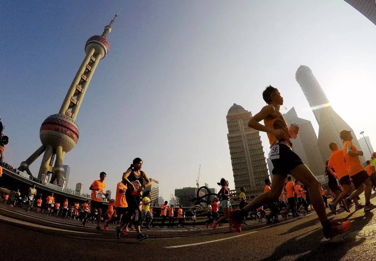 上海浦东风景,浦东沿路风景最美的路