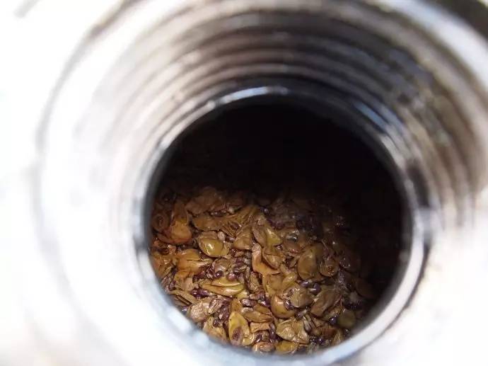 鍔犲埄瑗夸簹缇庨鎺ㄨ崘,鍔犲埄瑗夸簹缇庨鏀荤暐