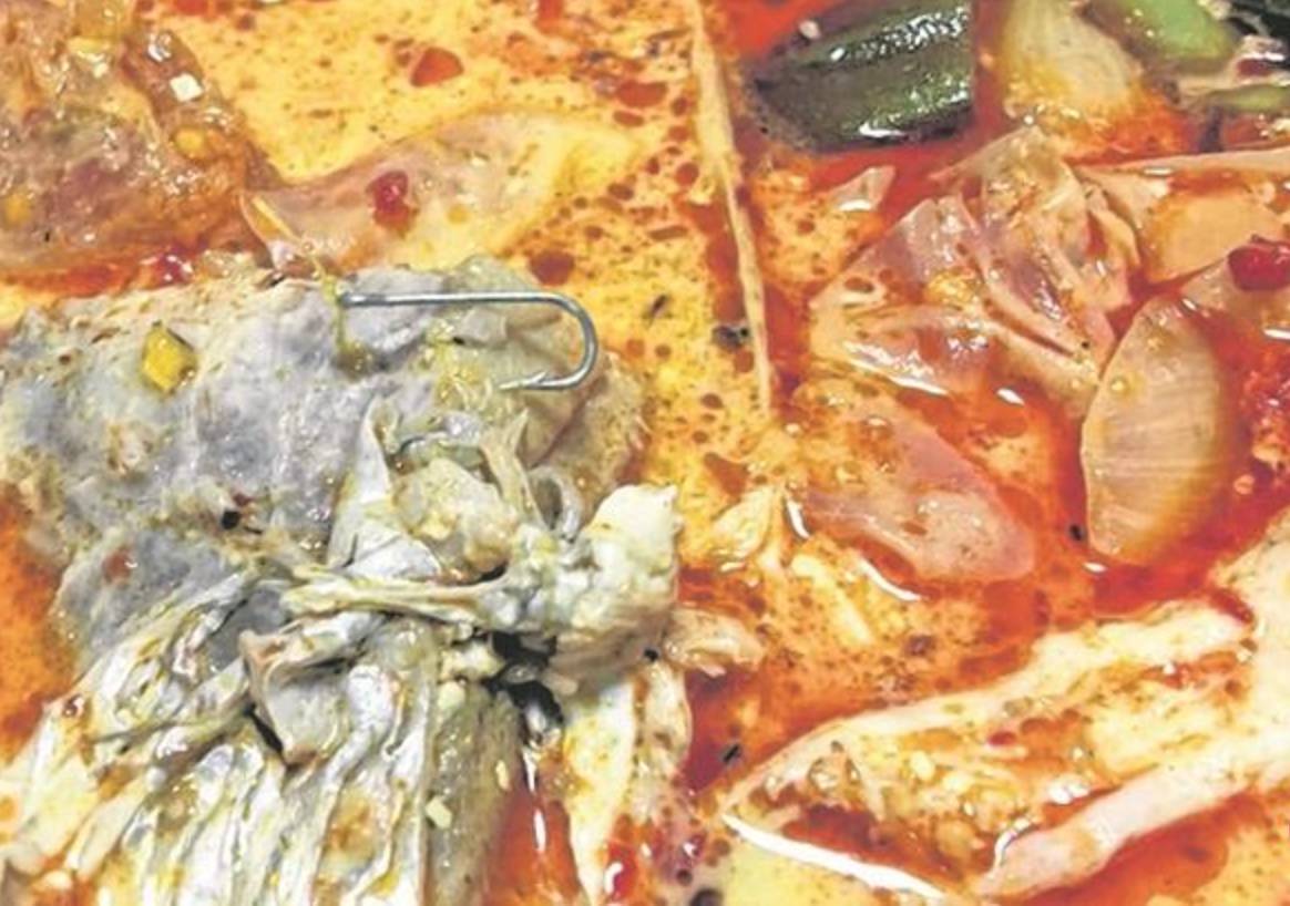 广州烤鱼吃出虫子,新西兰博主海边吃海鲜吃出寄生虫