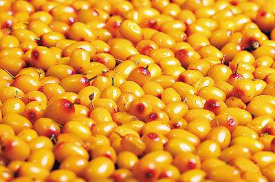 中医治疗宫颈糜烂,分享一个治疗宫颈糜烂偏方