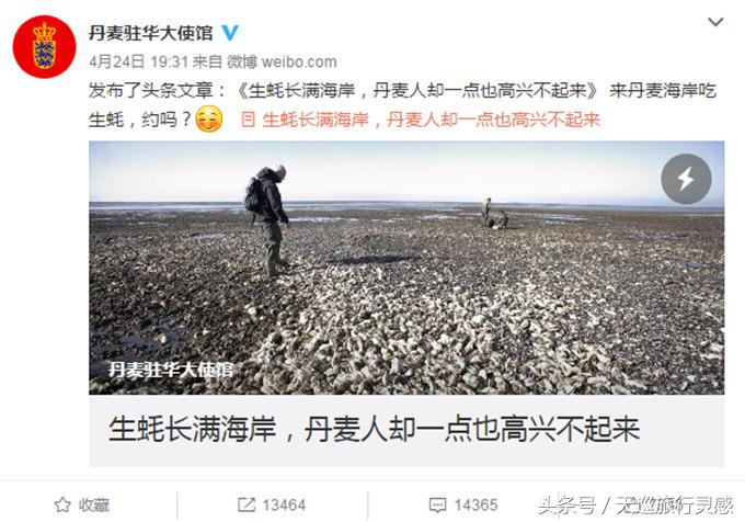 丹麦生蚝成灾救灾,丹麦生蚝泛滥成灾人民的名义