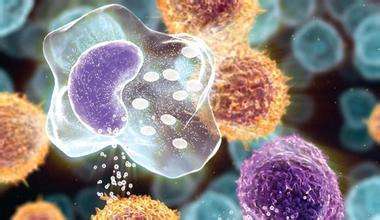 乔布斯为什么会得癌症死亡,乔布斯从发现癌症到去世