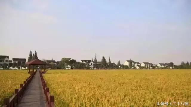 乡根东林渡,乡根东林渡露营