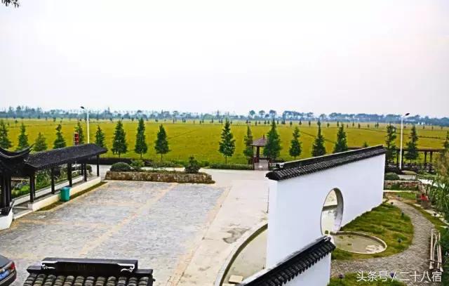 乡根东林渡,乡根东林渡露营