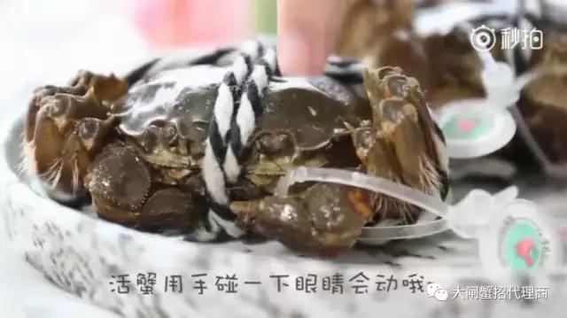 阳澄湖大闸蟹判断真伪,如何判断阳澄湖大闸蟹是否为正品