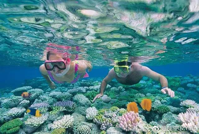 大堡礁技巧,大堡礁刚开始怎么玩