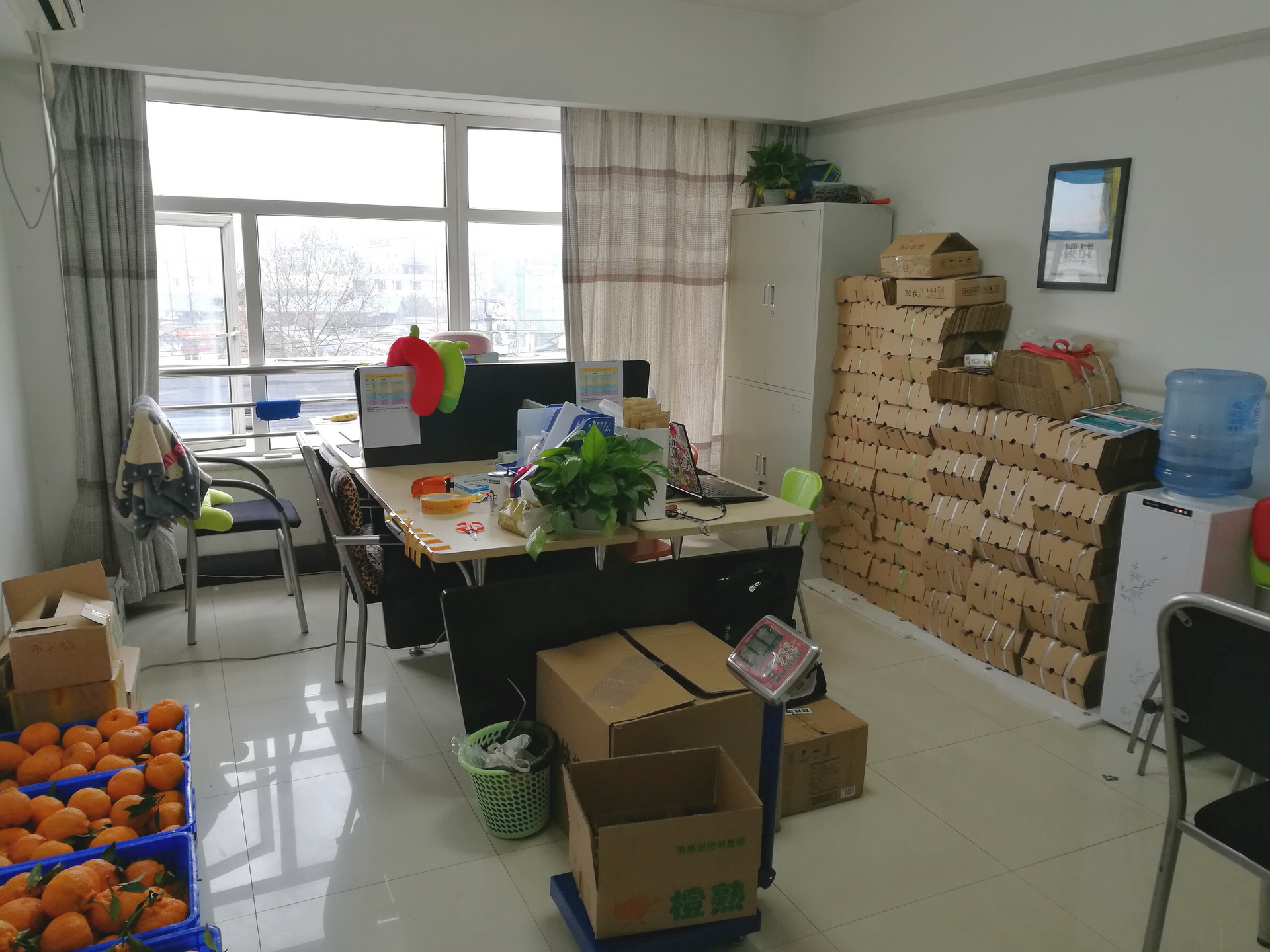 鸪鸪鸟生态农业创业团队：我是农村大学生我为自己代言