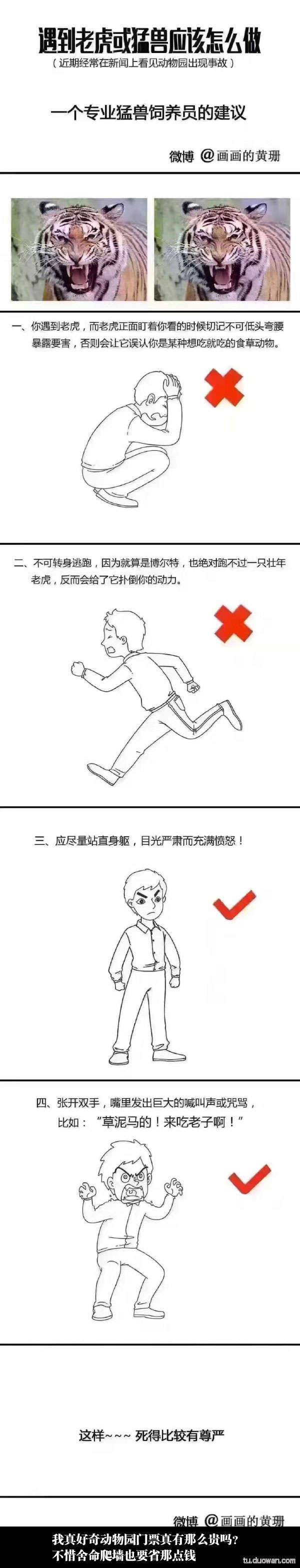 爆笑趣图：饲养员告诉你：遇到老虎猛兽该怎么做