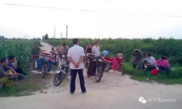 百日虫蝈蝈大概多少钱,百日虫蝈蝈价格