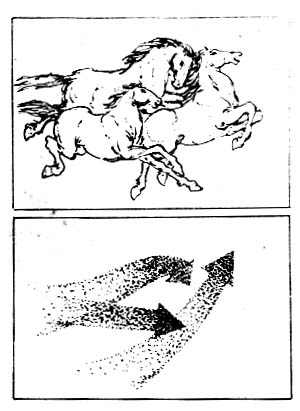 构图讲解全集,浅谈摄影作品中的构图