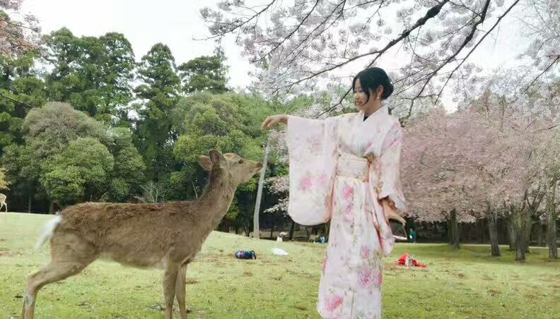 初游日本,日本最值得尊敬的对手