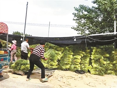 蒜你狠主要受什么因素影响,蒜你狠历史事件原因