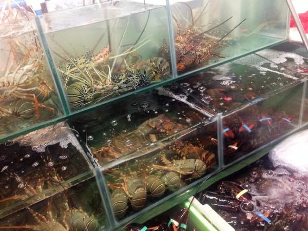 心向远方勇闯天涯,心向远方越野