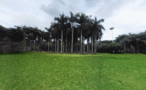 深圳东湖公园门票多少,深圳东湖公园要门票吗