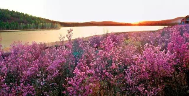 2017年呼伦贝尔旅游节庆活动大全，收好速转！