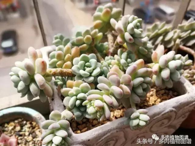 入坑半年的经历,入坑五个月总结