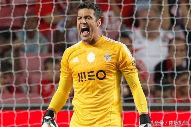 狼王托蒂巅峰赛季,狼王托蒂被逼到退役