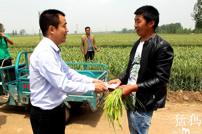 河南蒜农滞销紧急助农,大蒜20万吨订单