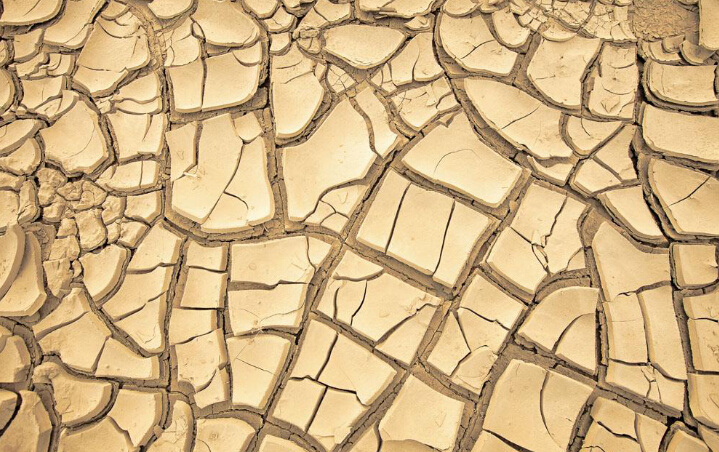 湿疹反复不好，原来这是干性湿疹