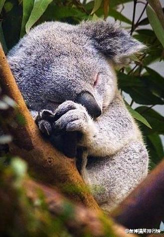 养生遇到过哪些坑,中国养生有没有科学根据