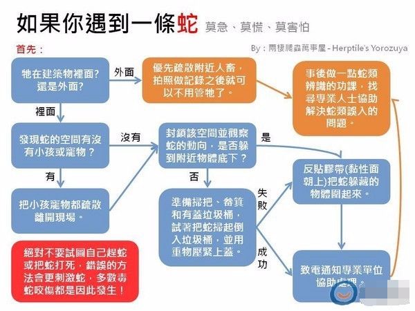 当你野外遇到蛇怎么办搞笑版,在野外遇到蛇最安全的做法是什么