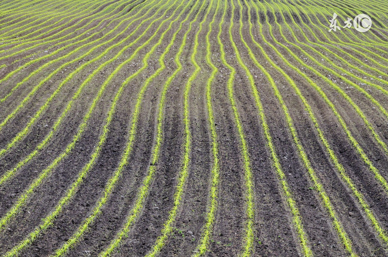 农资电商之路如何走,农资行业陷入一个怪圈